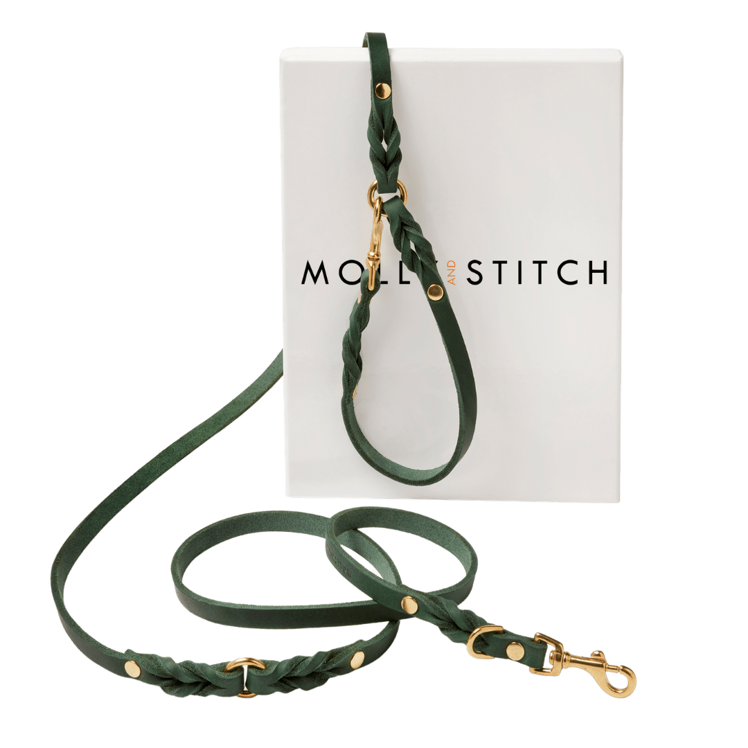 Butter Leather 3x Adjustable Dog Leash - Forest Green - Eva Pet - mollyandstitchus
