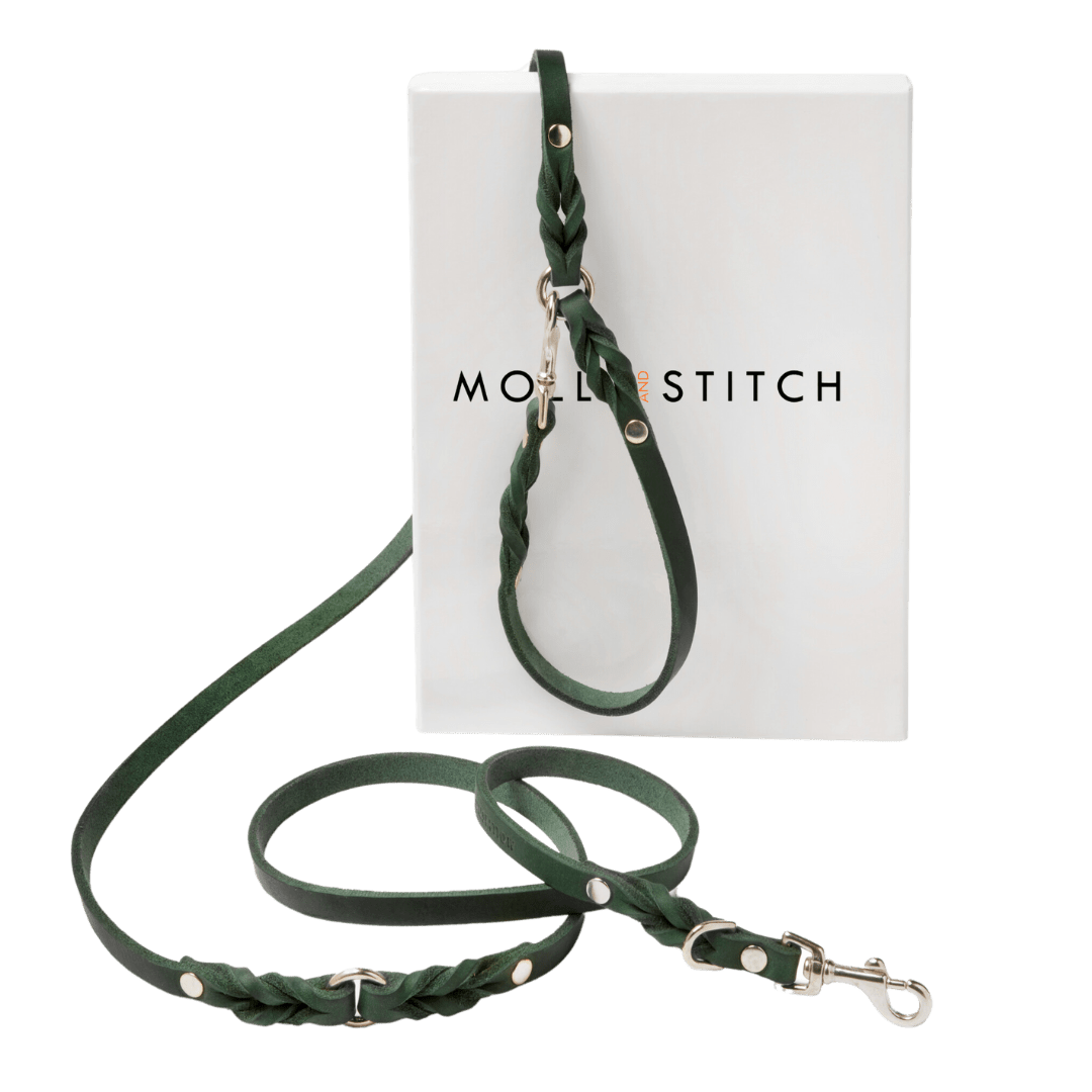 Butter Leather 3x Adjustable Dog Leash - Forest Green - Eva Pet - mollyandstitchus