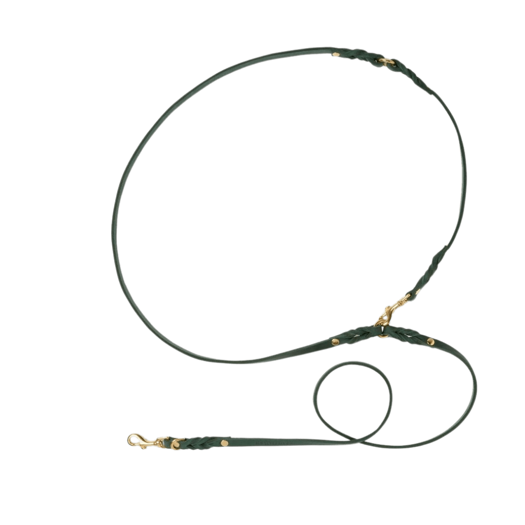Butter Leather 3x Adjustable Dog Leash - Forest Green - Eva Pet - mollyandstitchus