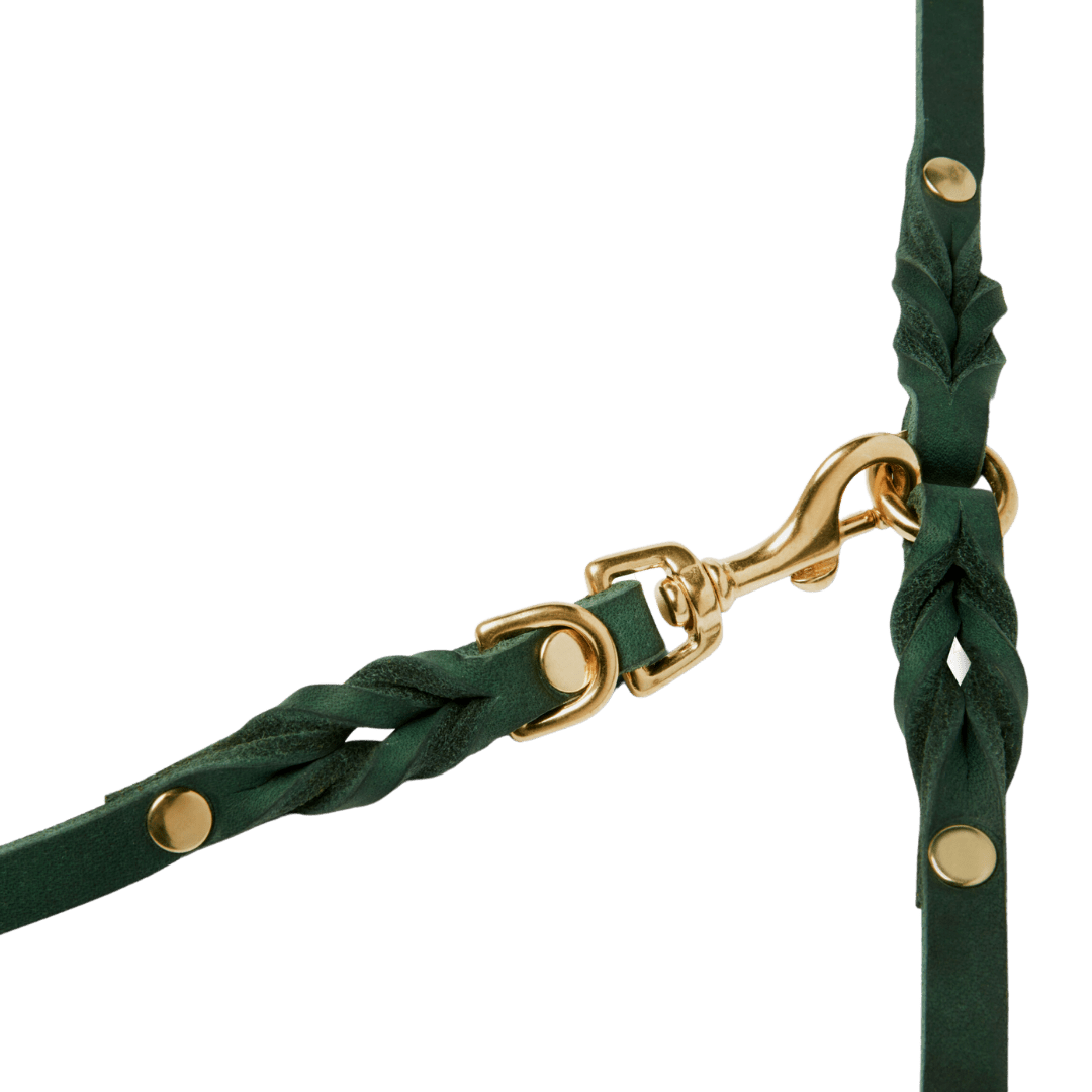 Butter Leather 3x Adjustable Dog Leash - Forest Green - Eva Pet - mollyandstitchus