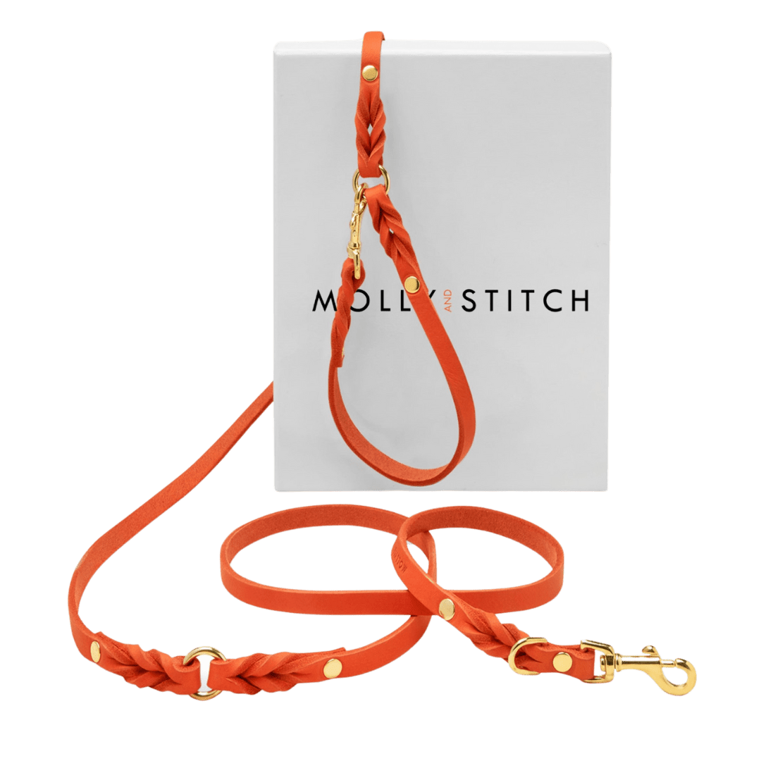 Butter Leather 3x Adjustable Dog Leash - Mango - Eva Pet - mollyandstitchus