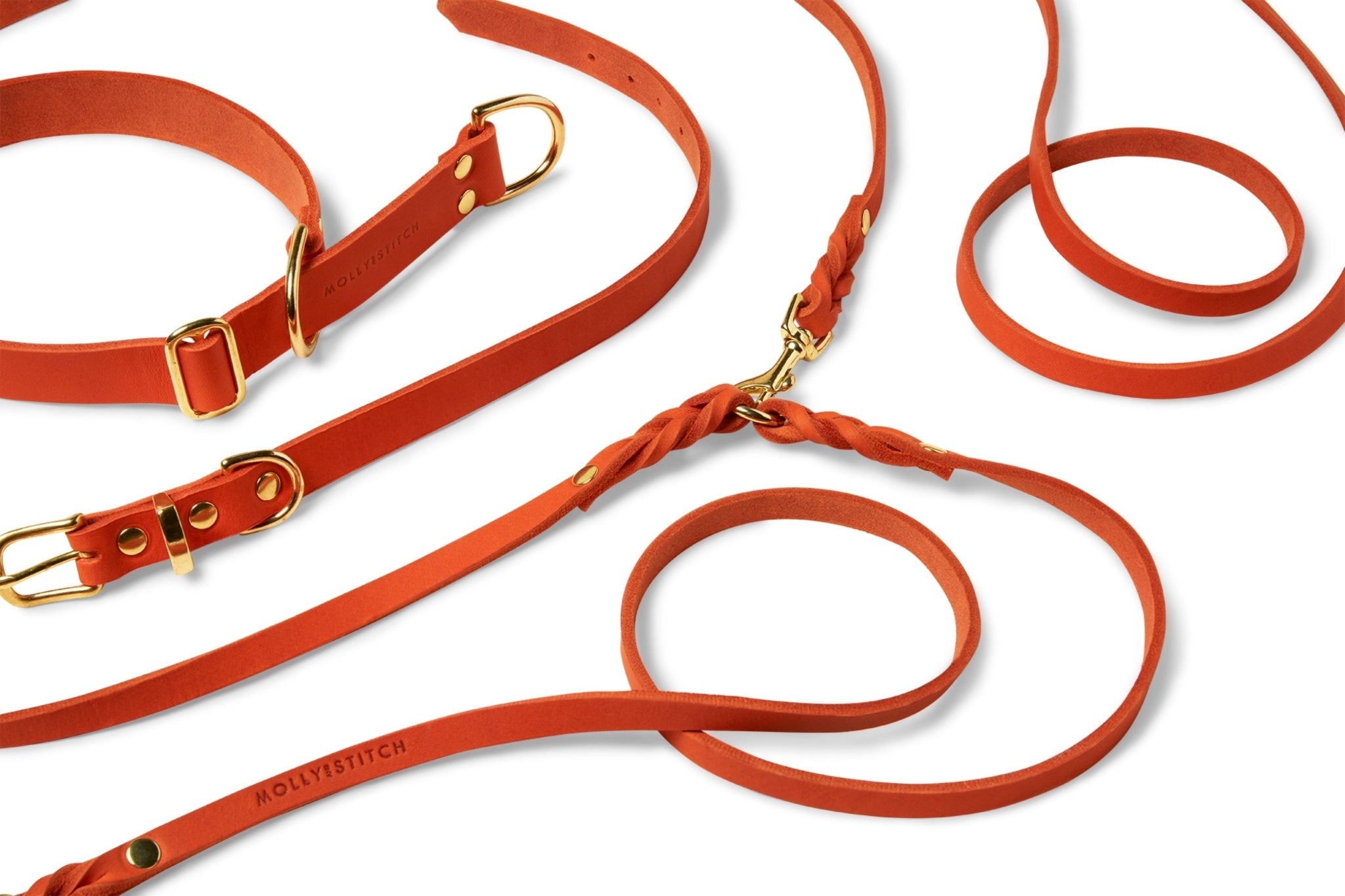 Butter Leather 3x Adjustable Dog Leash - Mango - Eva Pet - mollyandstitchus