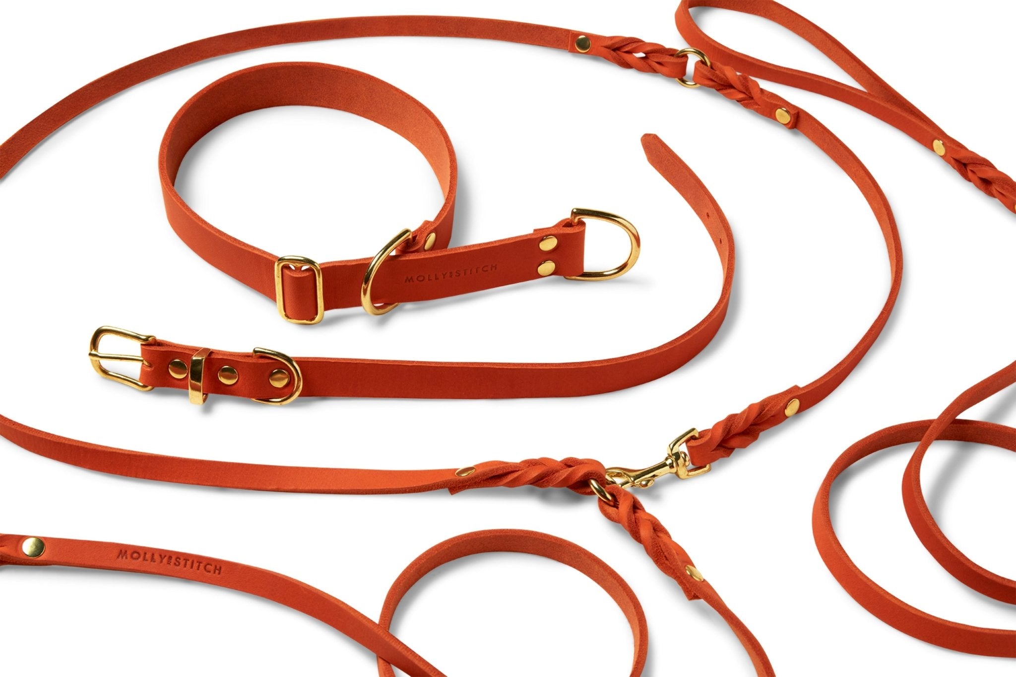 Butter Leather 3x Adjustable Dog Leash - Mango - Eva Pet - mollyandstitchus