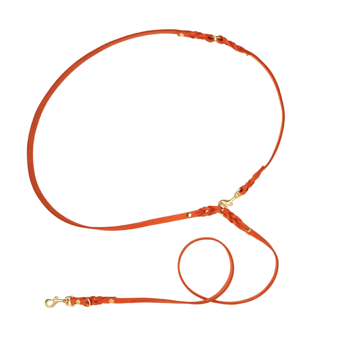 Butter Leather 3x Adjustable Dog Leash - Mango - Eva Pet - mollyandstitchus