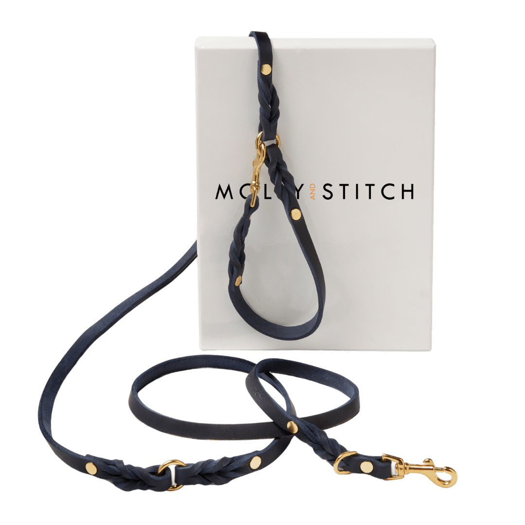 Butter Leather 3x Adjustable Dog Leash - Navy Blue - Eva Pet - mollyandstitchus