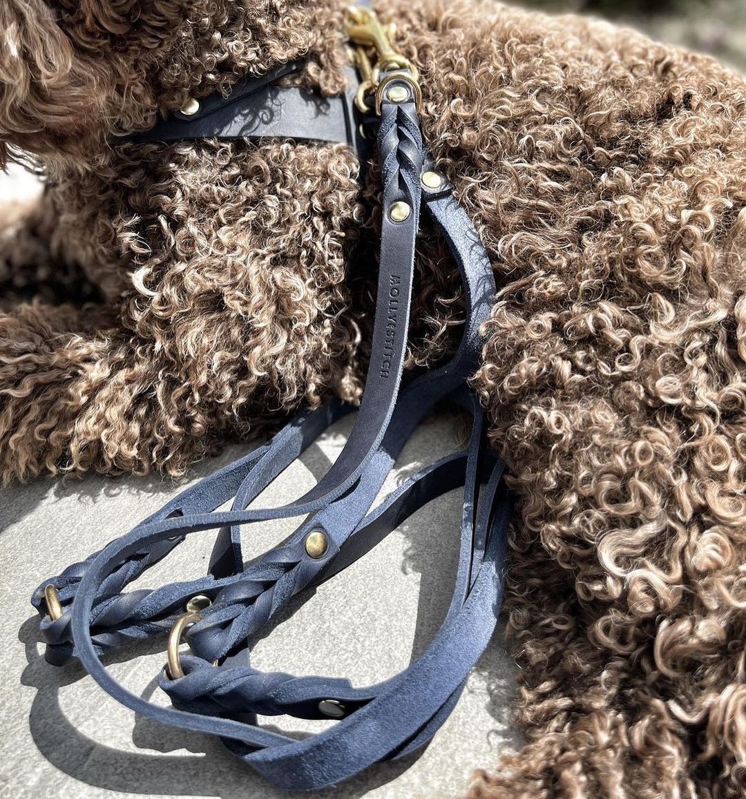 Butter Leather 3x Adjustable Dog Leash - Navy Blue - Eva Pet - mollyandstitchus