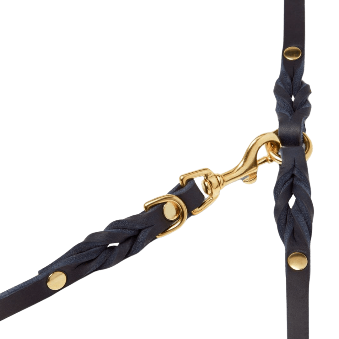 Butter Leather 3x Adjustable Dog Leash - Navy Blue - Eva Pet - mollyandstitchus