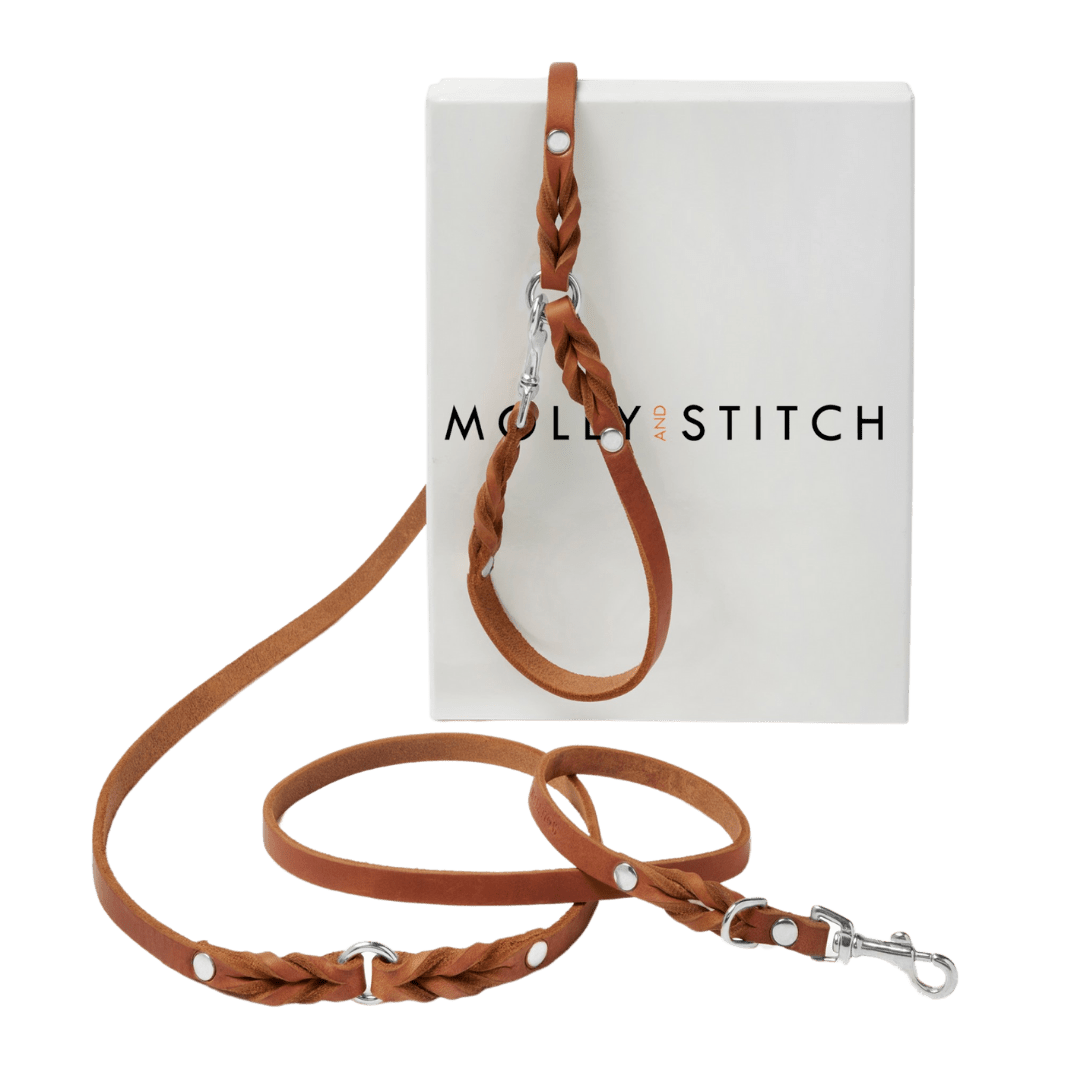 Butter Leather 3x Adjustable Dog Leash - Sahara Cognac - Eva Pet - mollyandstitchus