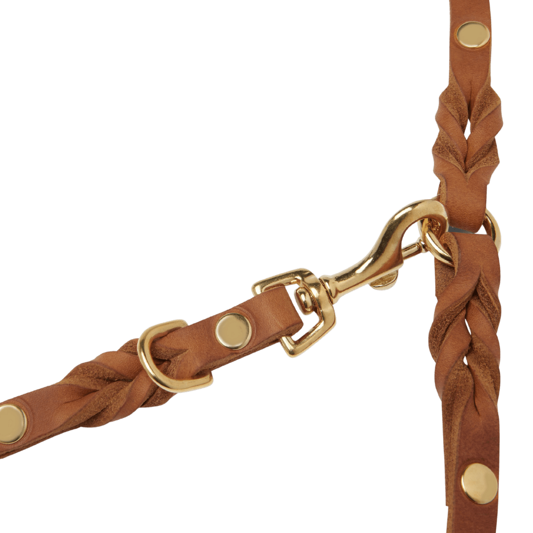 Butter Leather 3x Adjustable Dog Leash - Sahara Cognac - Eva Pet - mollyandstitchus