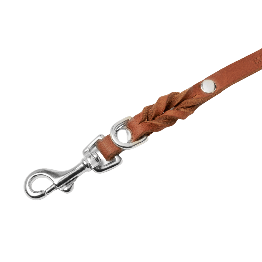 Butter Leather 3x Adjustable Dog Leash - Sahara Cognac - Eva Pet - mollyandstitchus