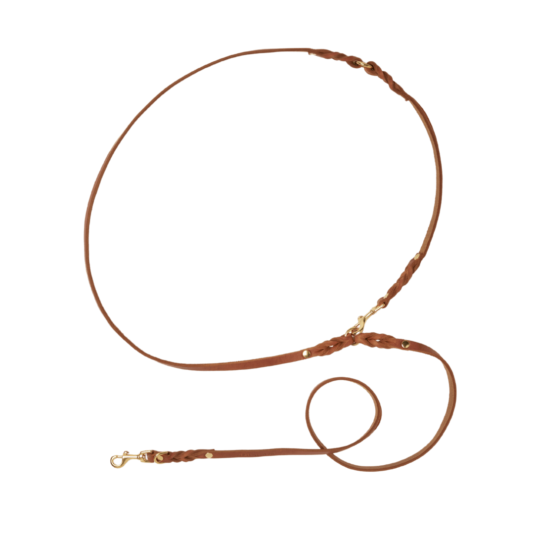 Butter Leather 3x Adjustable Dog Leash - Sahara Cognac - Eva Pet - mollyandstitchus