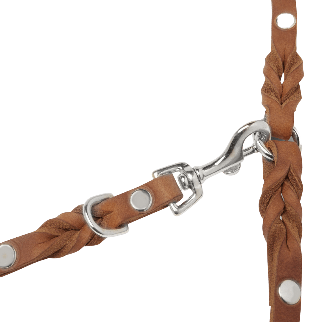 Butter Leather 3x Adjustable Dog Leash - Sahara Cognac - Eva Pet - mollyandstitchus