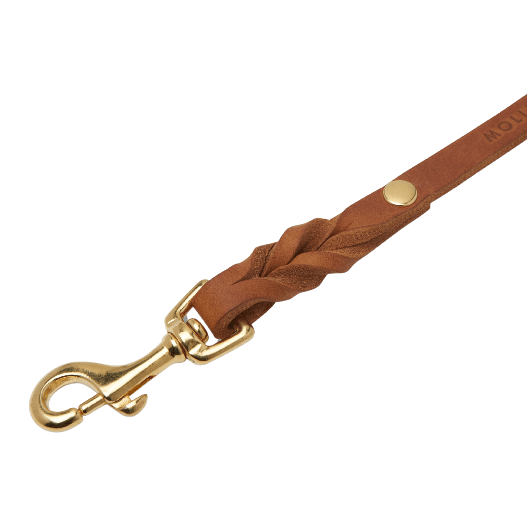 Butter Leather 3x Adjustable Dog Leash - Sahara Cognac - Eva Pet - mollyandstitchus