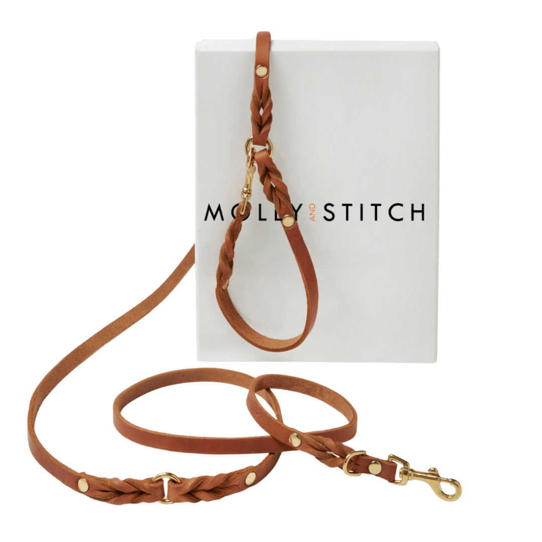 Butter Leather 3x Adjustable Dog Leash - Sahara Cognac - Eva Pet - mollyandstitchus