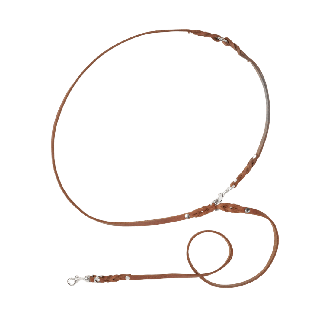 Butter Leather 3x Adjustable Dog Leash - Sahara Cognac - Eva Pet - mollyandstitchus