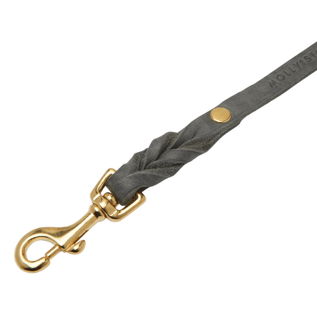 Butter Leather 3x Adjustable Dog Leash - Timeless Grey - Eva Pet - mollyandstitchus