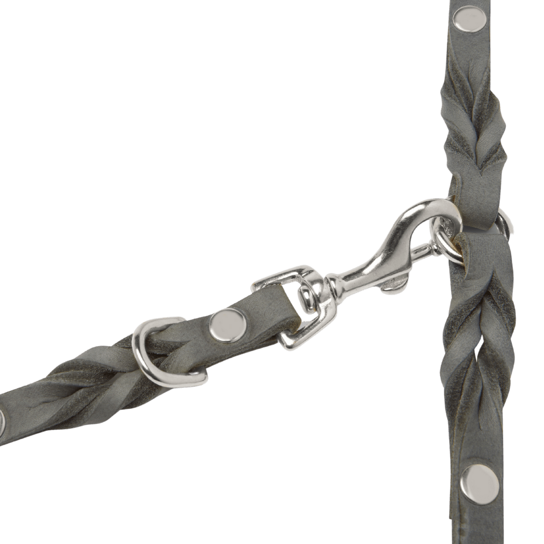 Butter Leather 3x Adjustable Dog Leash - Timeless Grey - Eva Pet - mollyandstitchus