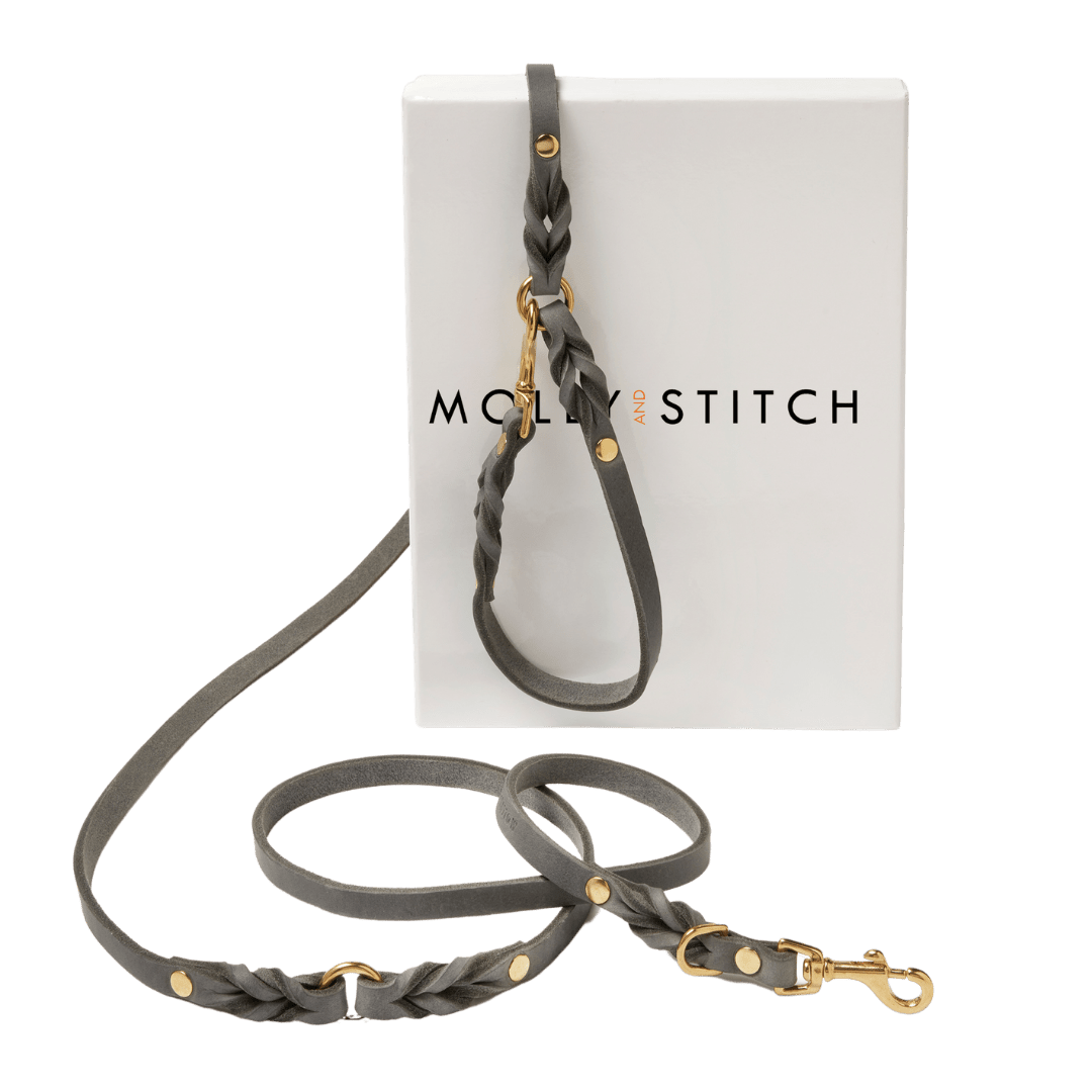 Butter Leather 3x Adjustable Dog Leash - Timeless Grey - Eva Pet - mollyandstitchus