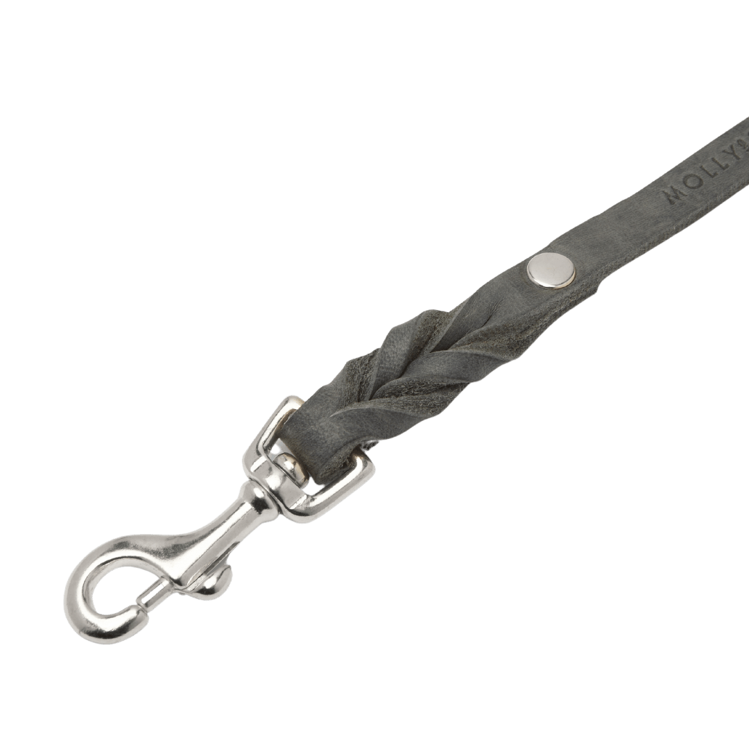 Butter Leather 3x Adjustable Dog Leash - Timeless Grey - Eva Pet - mollyandstitchus