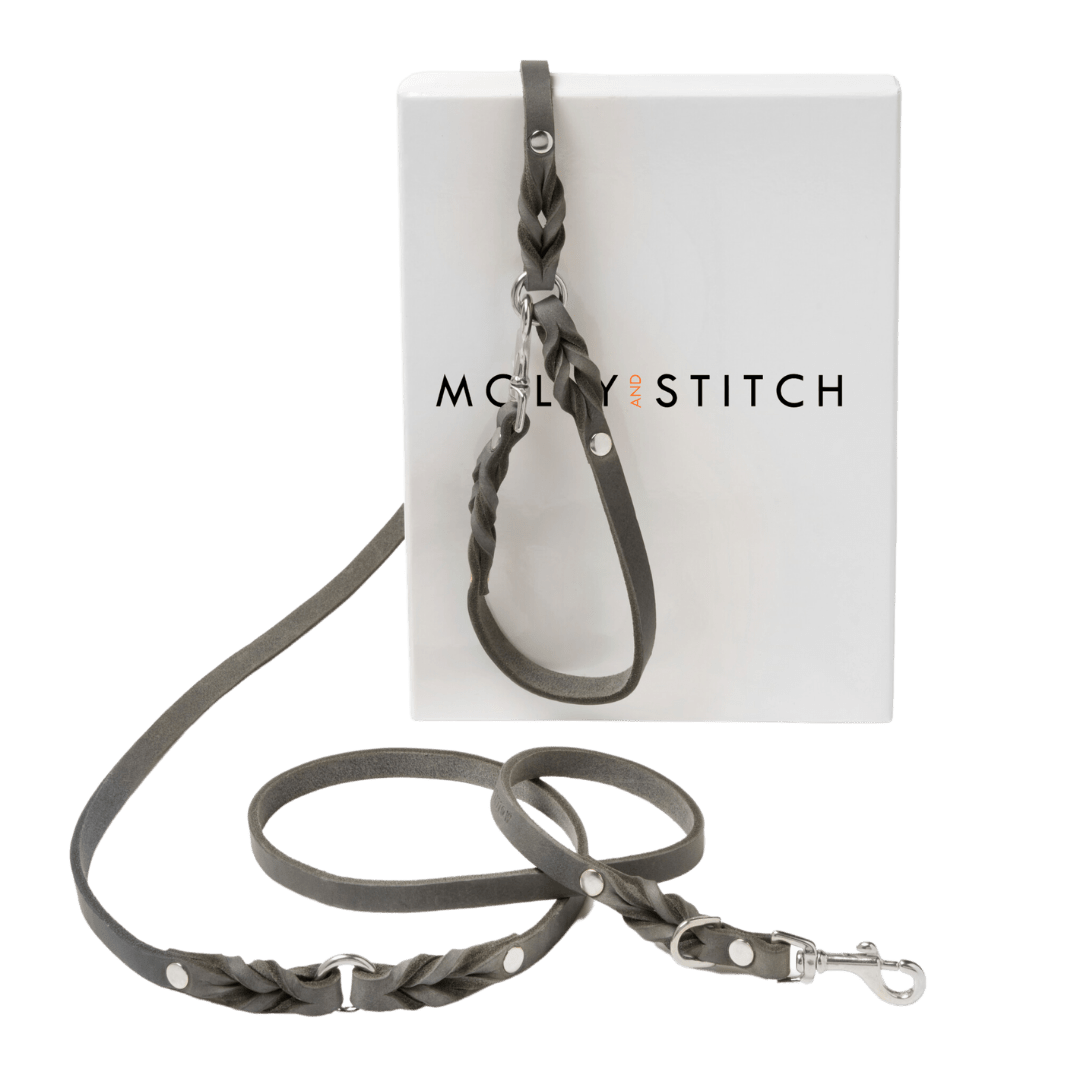 Butter Leather 3x Adjustable Dog Leash - Timeless Grey - Eva Pet - mollyandstitchus
