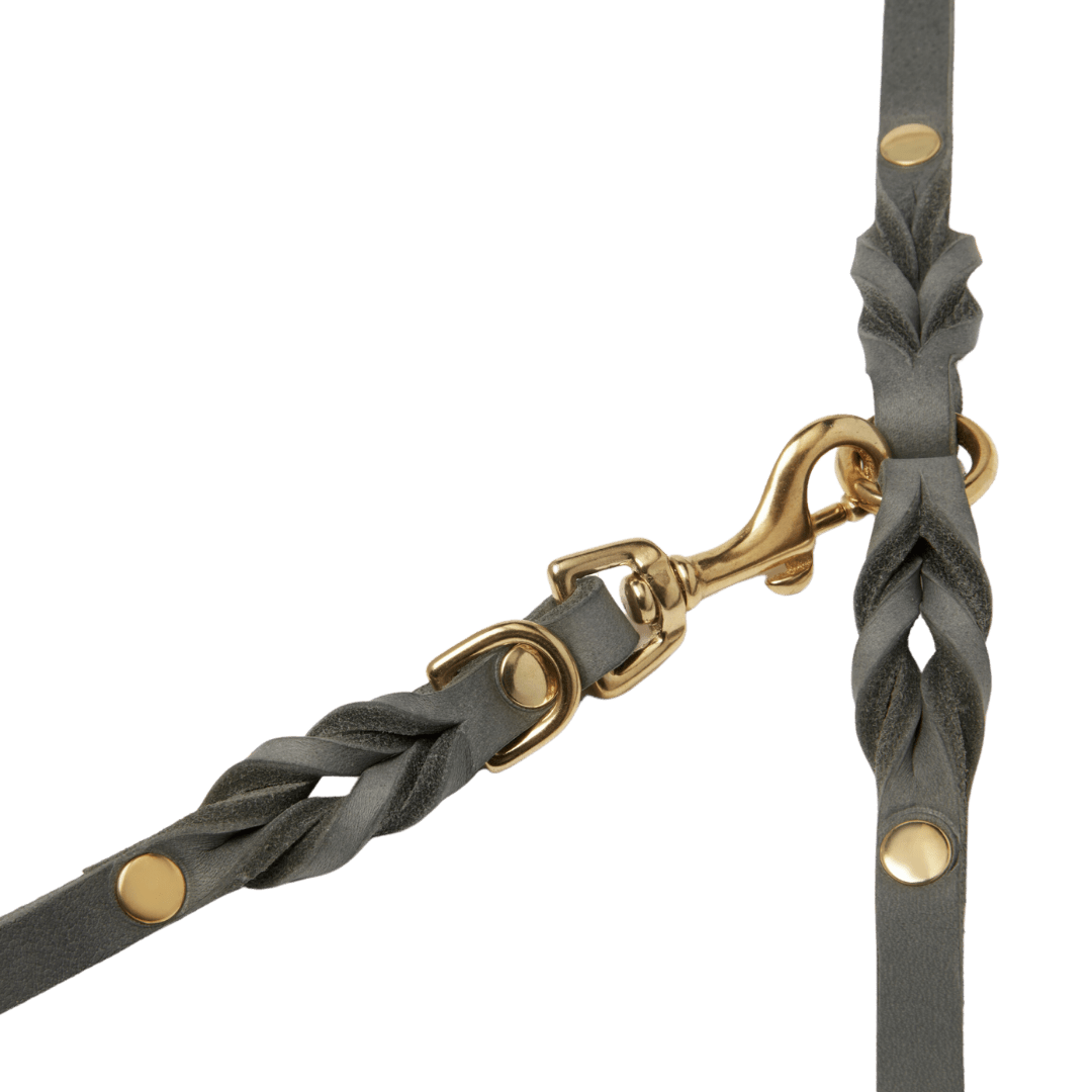 Butter Leather 3x Adjustable Dog Leash - Timeless Grey - Eva Pet - mollyandstitchus
