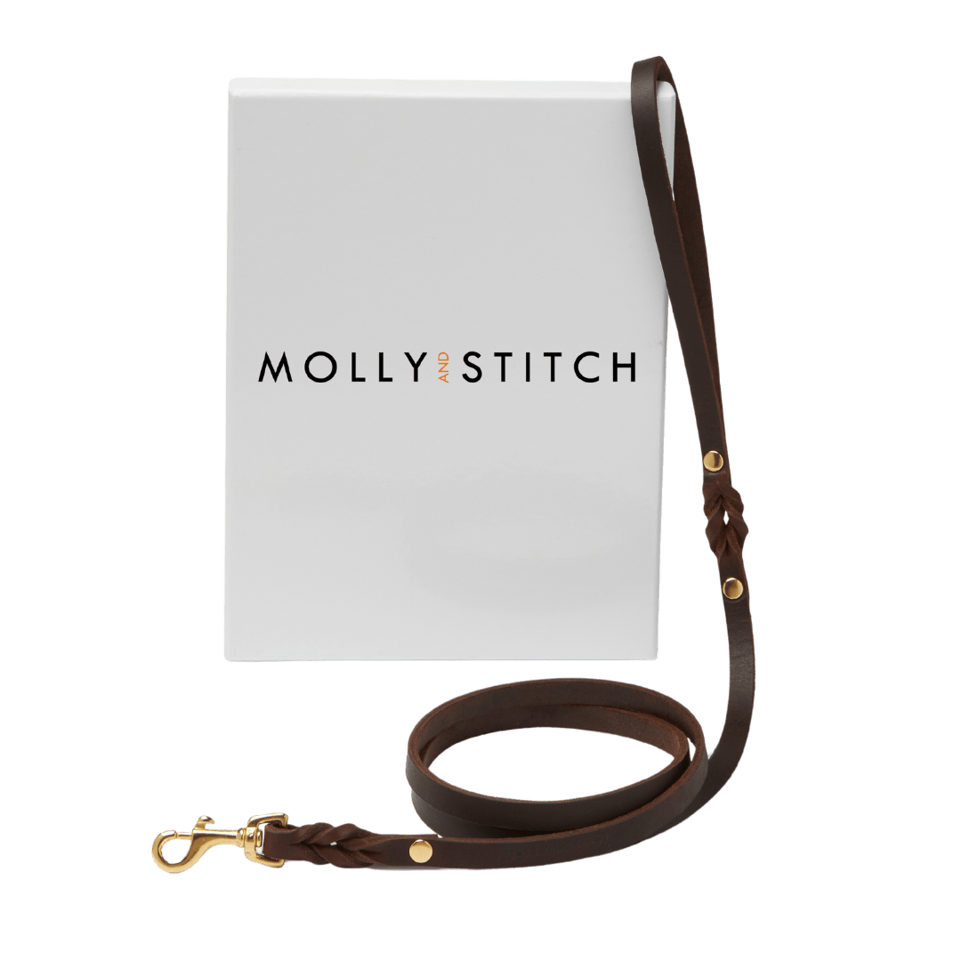 Butter Leather City Dog Leash - Classic Brown - Eva Pet - mollyandstitchus