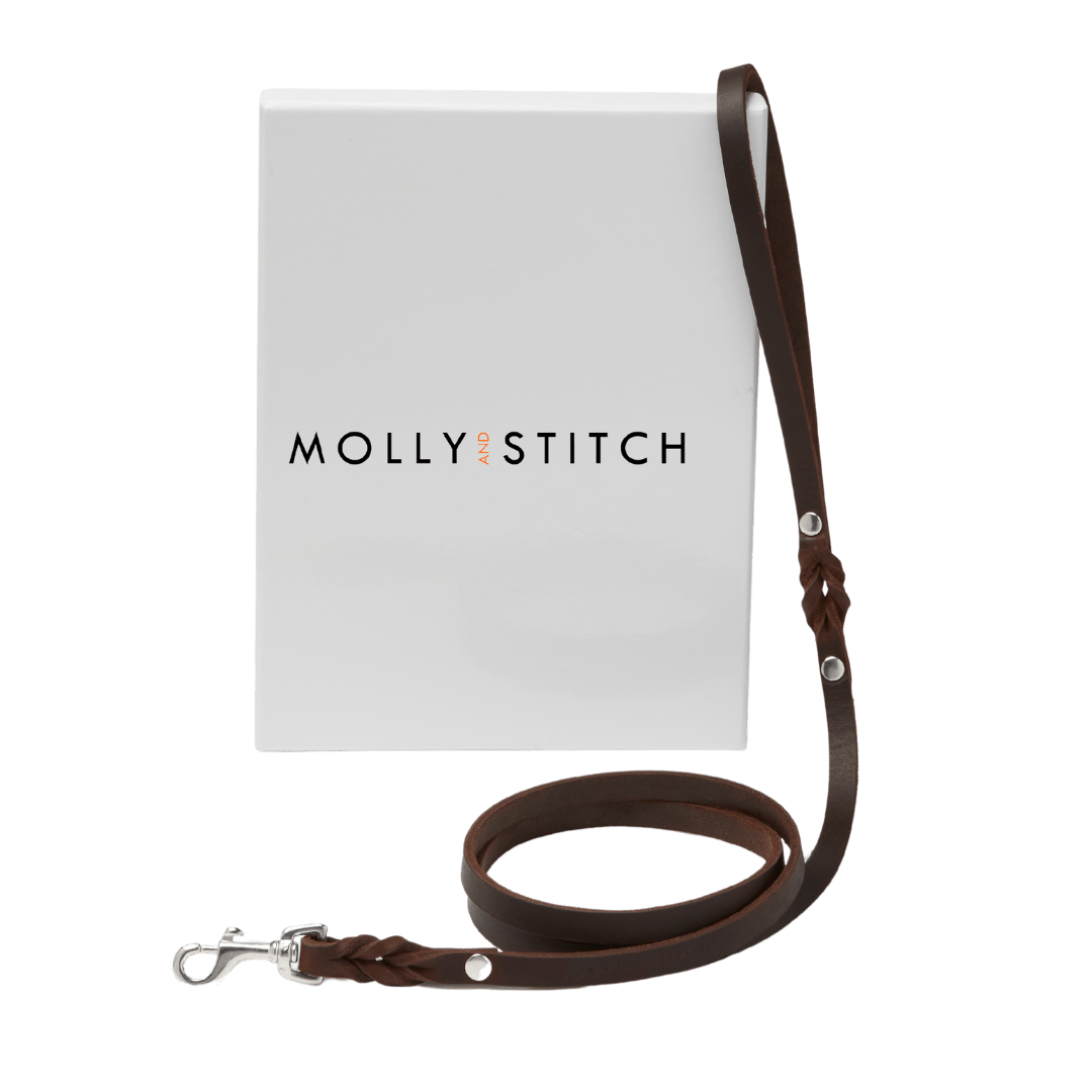 Butter Leather City Dog Leash - Classic Brown - Eva Pet - mollyandstitchus