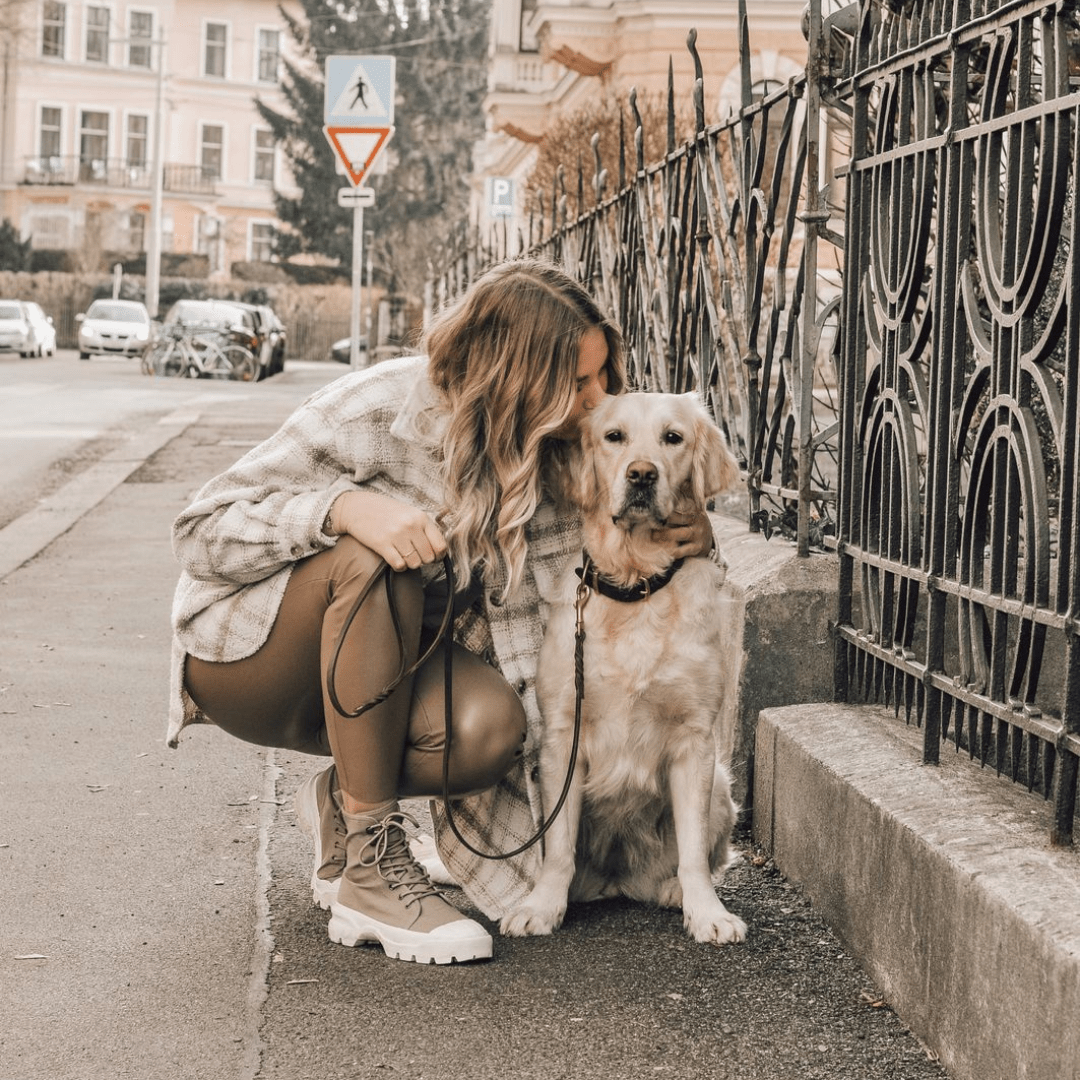 Butter Leather City Dog Leash - Classic Brown - Eva Pet - mollyandstitchus