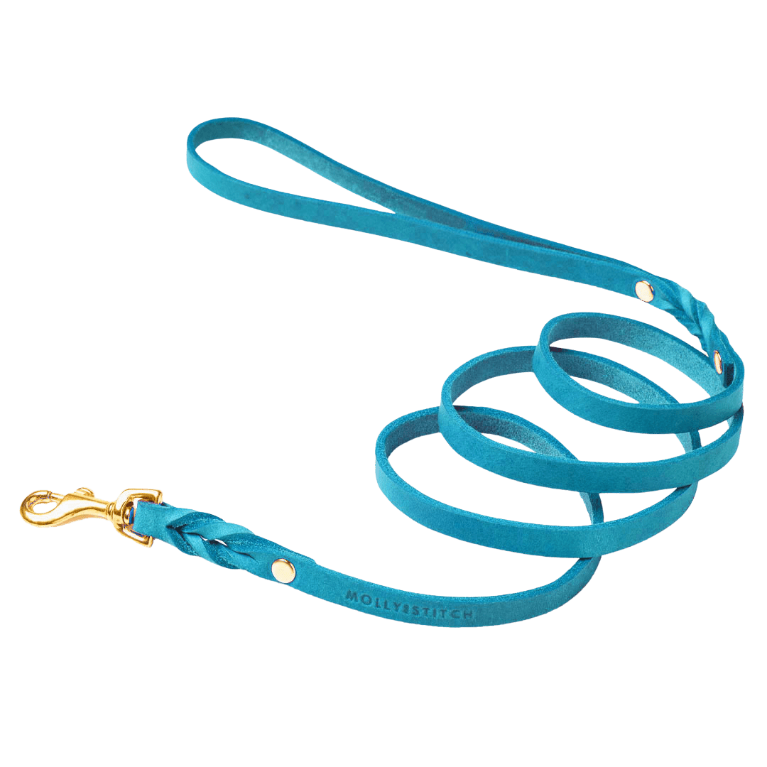 Butter Leather City Dog Leash - Fiji - Eva Pet - mollyandstitchus