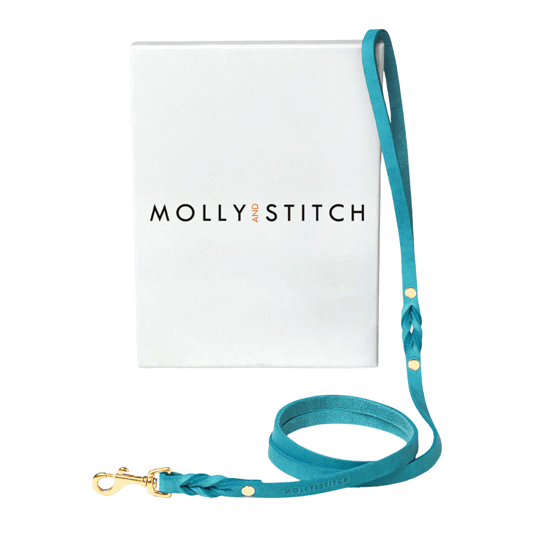 Butter Leather City Dog Leash - Fiji - Eva Pet - mollyandstitchus