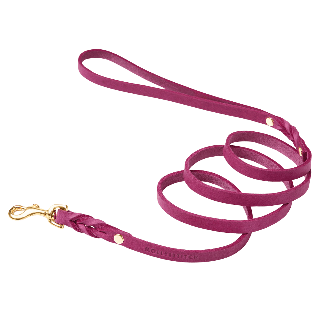 Butter Leather City Dog Leash - Flamingo - Eva Pet - mollyandstitchus