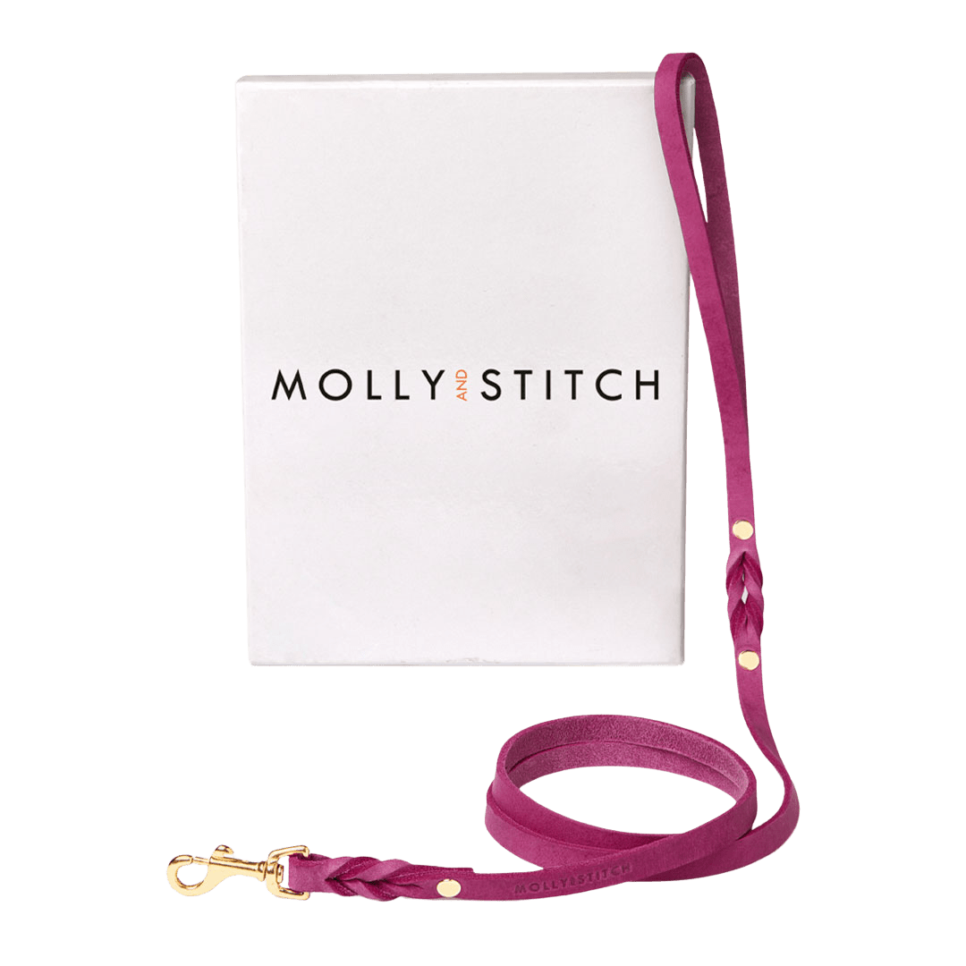 Butter Leather City Dog Leash - Flamingo - Eva Pet - mollyandstitchus
