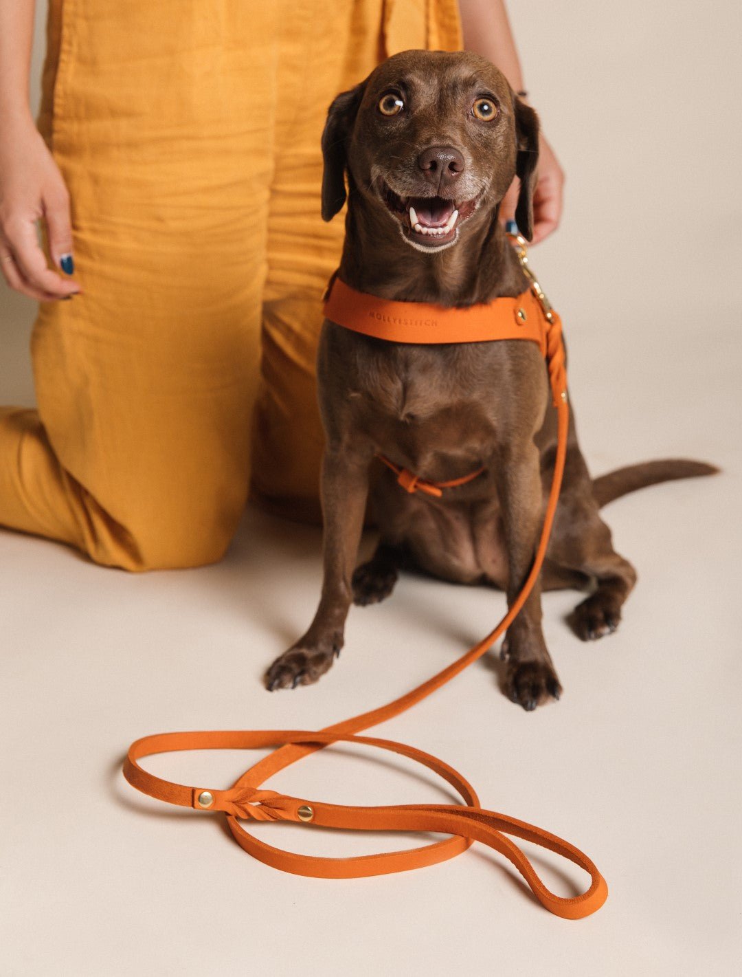 Butter Leather City Dog Leash - Mango - Eva Pet - mollyandstitchus