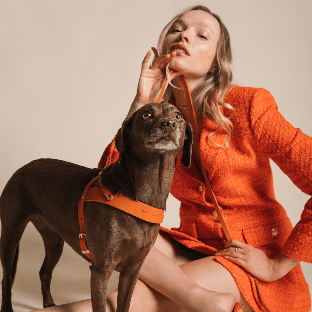 Butter Leather City Dog Leash - Mango - Eva Pet - mollyandstitchus