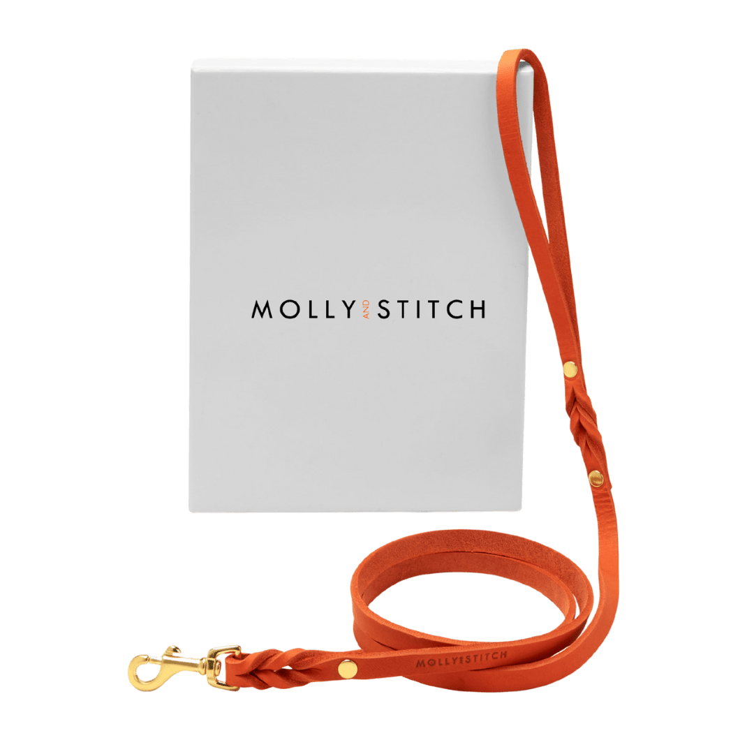 Butter Leather City Dog Leash - Mango - Eva Pet - mollyandstitchus
