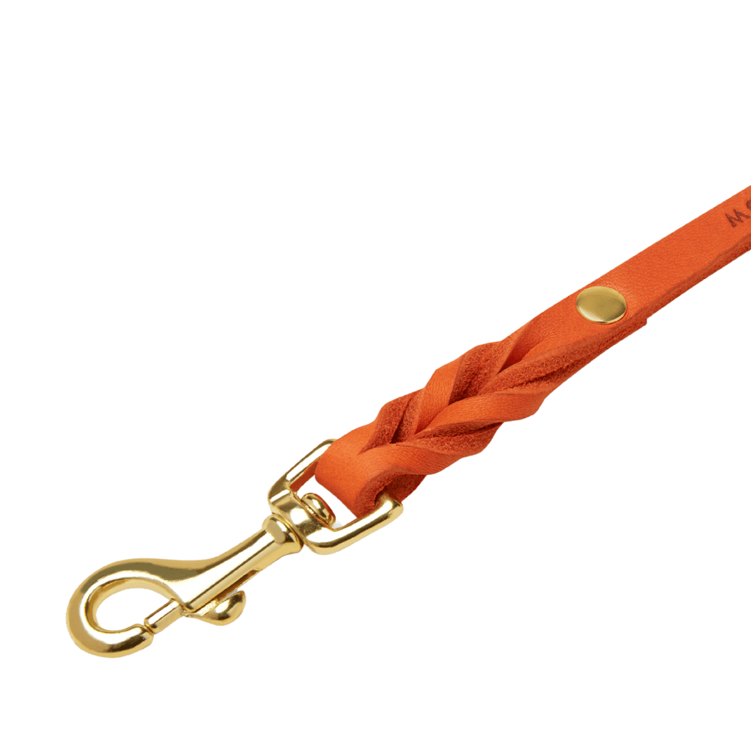 Butter Leather City Dog Leash - Mango - Eva Pet - mollyandstitchus