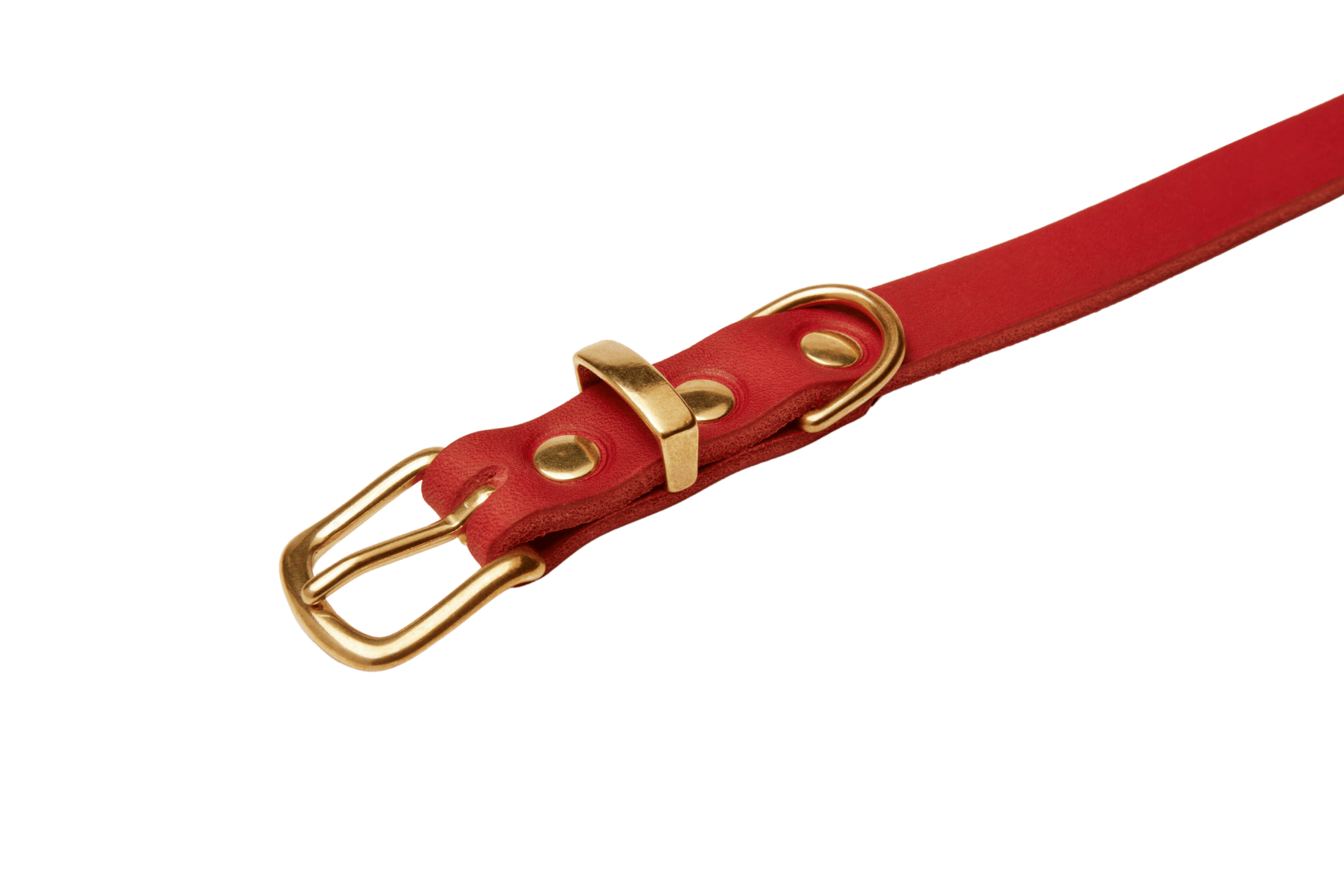 Butter Leather Dog Collar - Chili Red - Eva Pet - mollyandstitchus