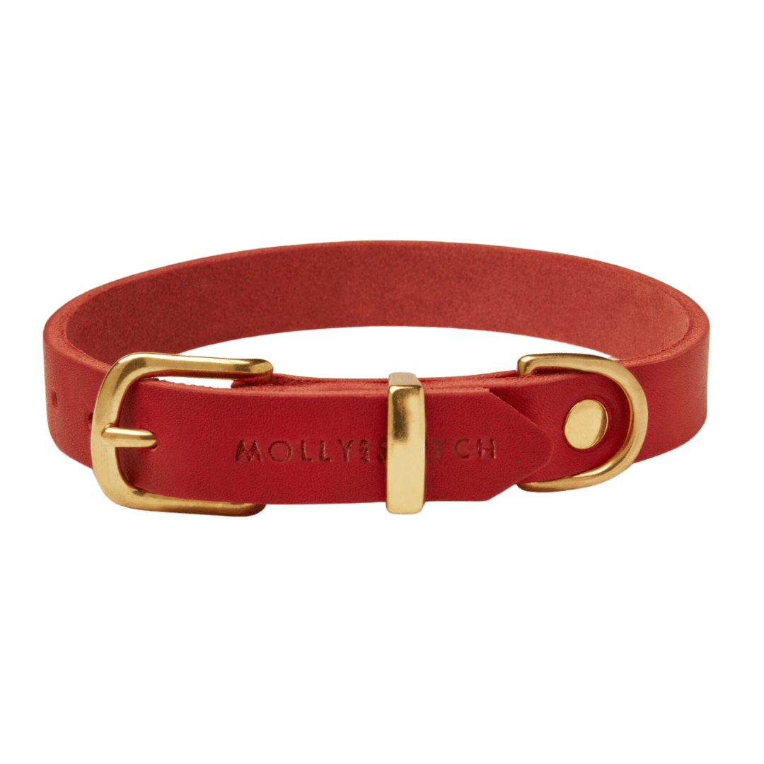 Butter Leather Dog Collar - Chili Red - Eva Pet - mollyandstitchus