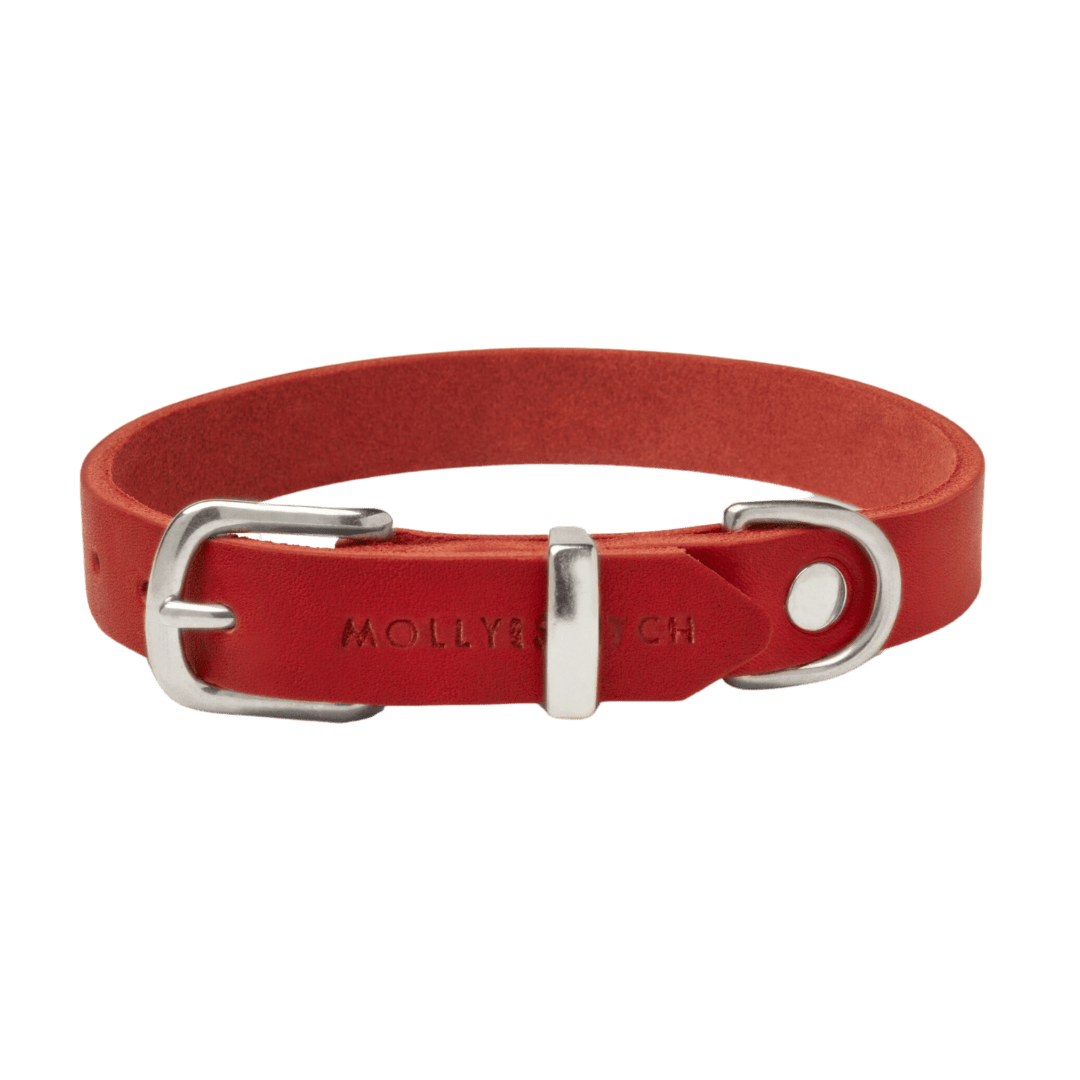 Butter Leather Dog Collar - Chili Red - Eva Pet - mollyandstitchus