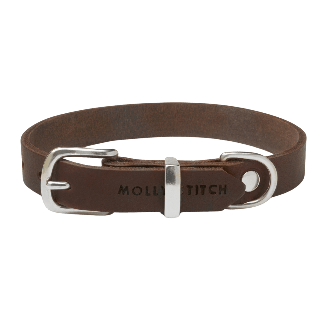 Butter Leather Dog Collar - Classic Brown - Eva Pet - mollyandstitchus