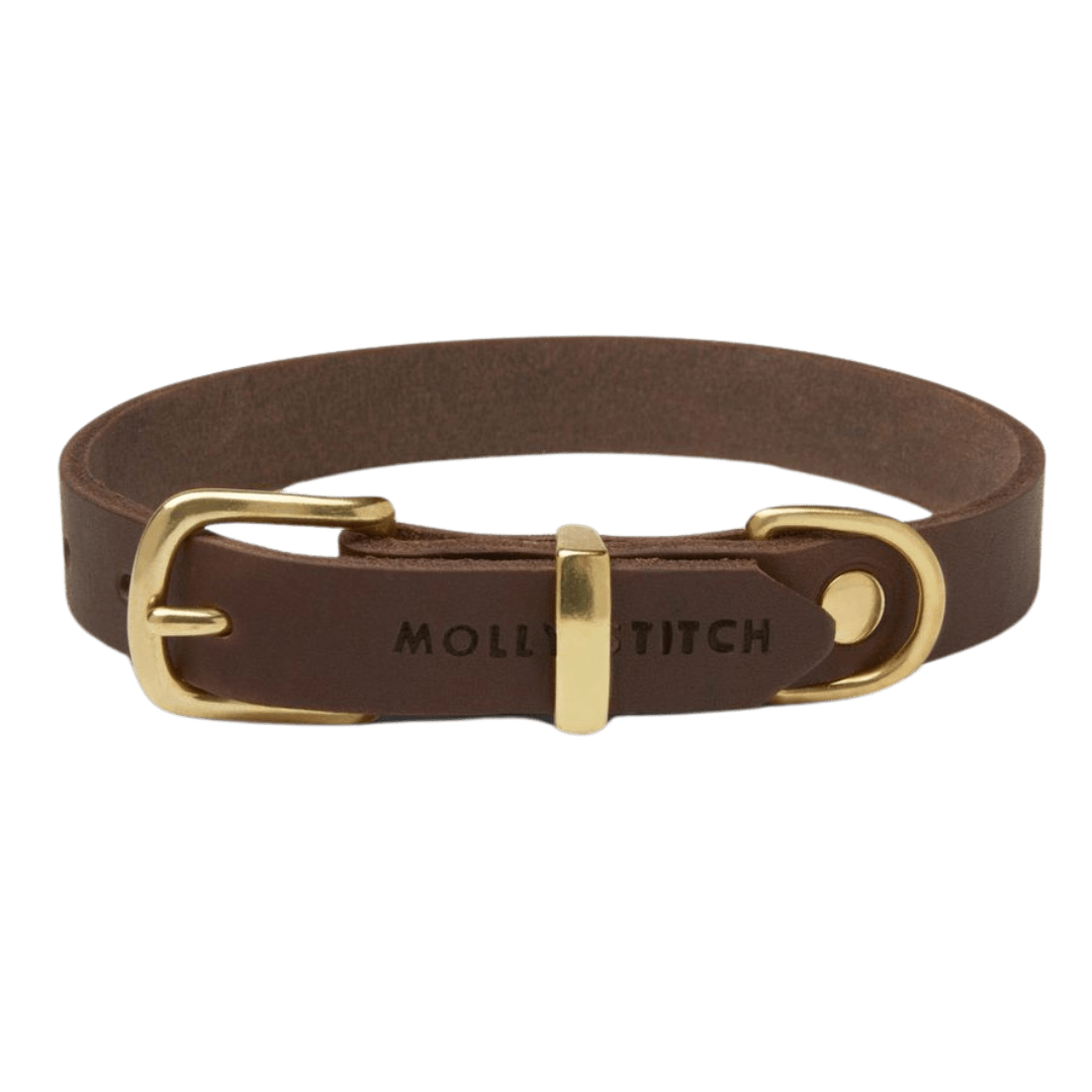 Butter Leather Dog Collar - Classic Brown - Eva Pet - mollyandstitchus