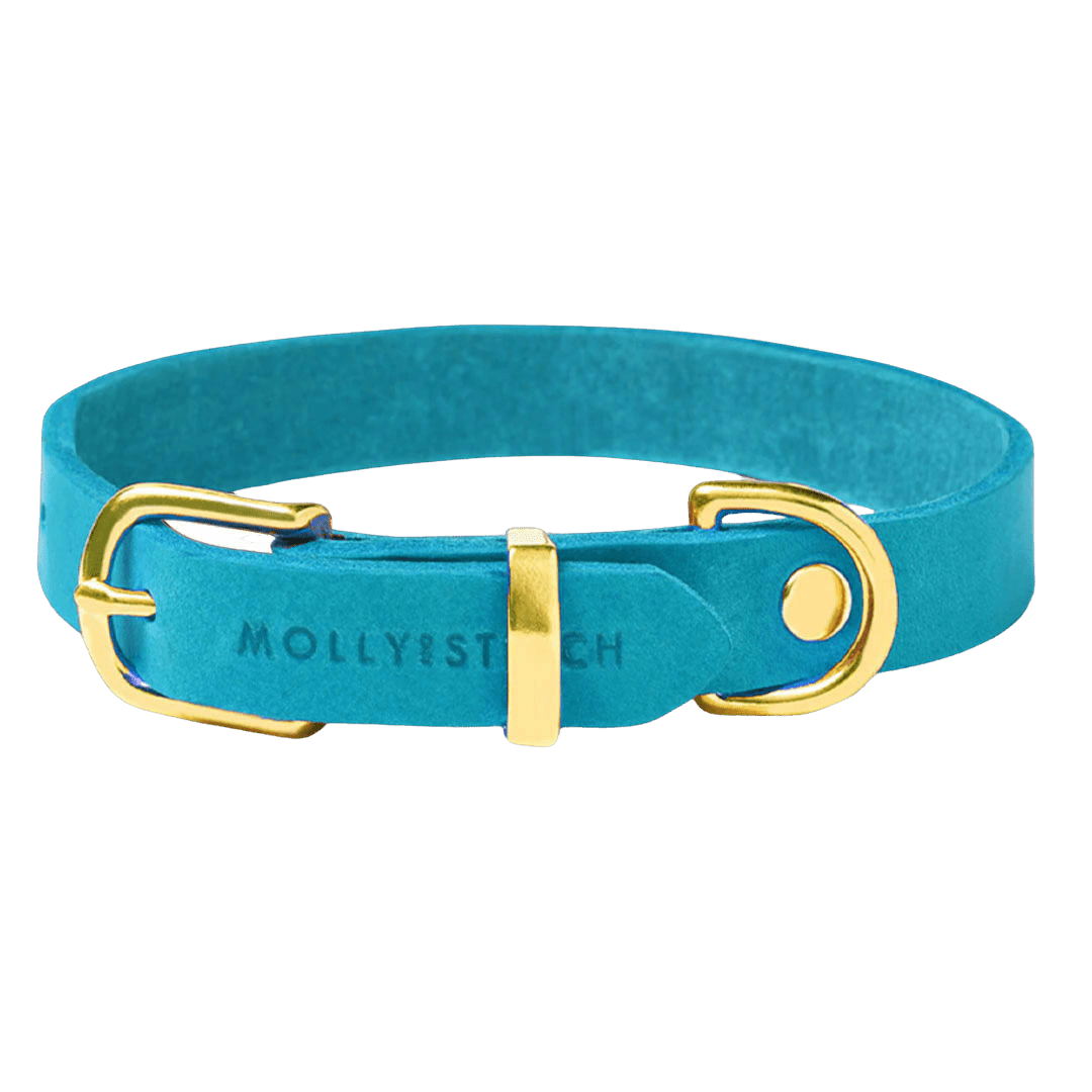 Butter Leather Dog Collar - Fiji - Eva Pet - mollyandstitchus