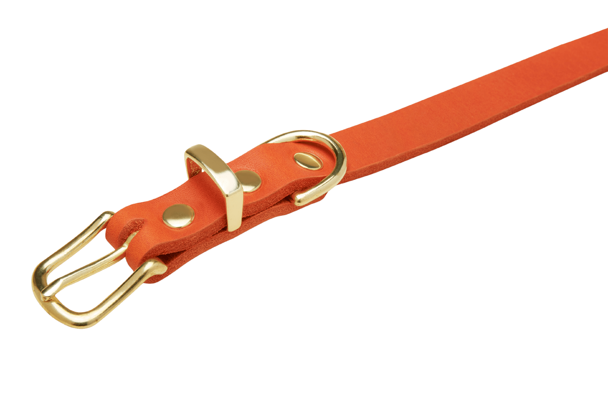 Butter Leather Dog Collar - Mango - Eva Pet - mollyandstitchus