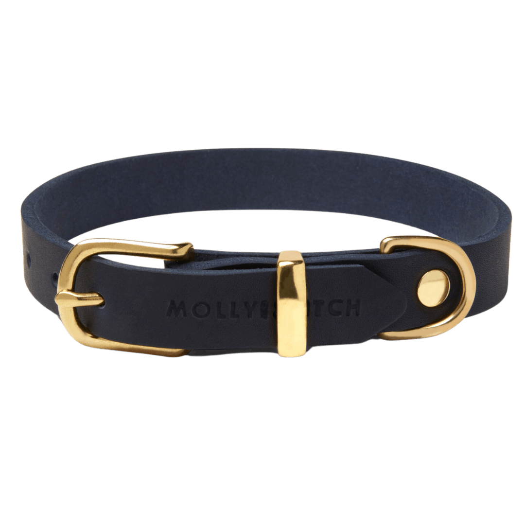 Butter Leather Dog Collar - Navy Blue - Eva Pet - mollyandstitchus