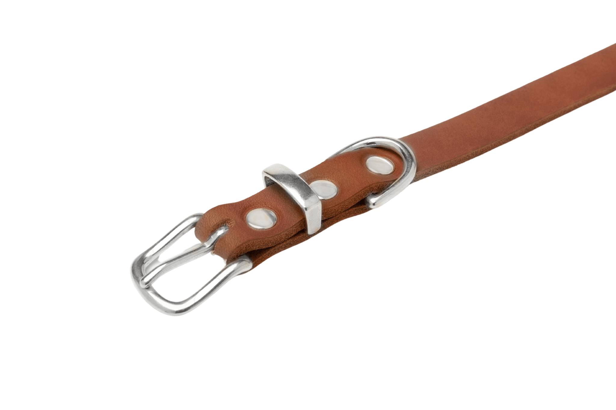 Butter Leather Dog Collar - Sahara Cognac - Eva Pet - Molly And Stitch