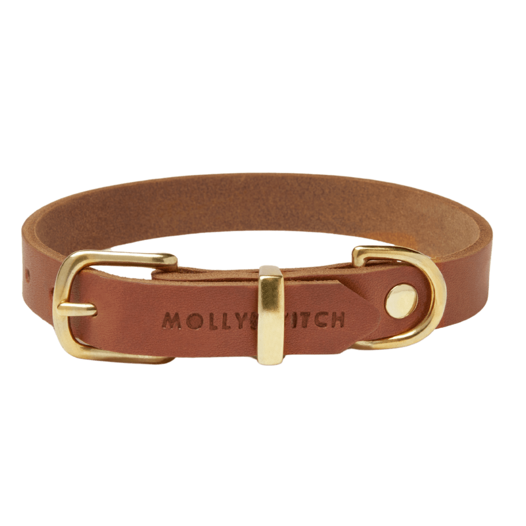 Butter Leather Dog Collar - Sahara Cognac - Eva Pet - Molly And Stitch