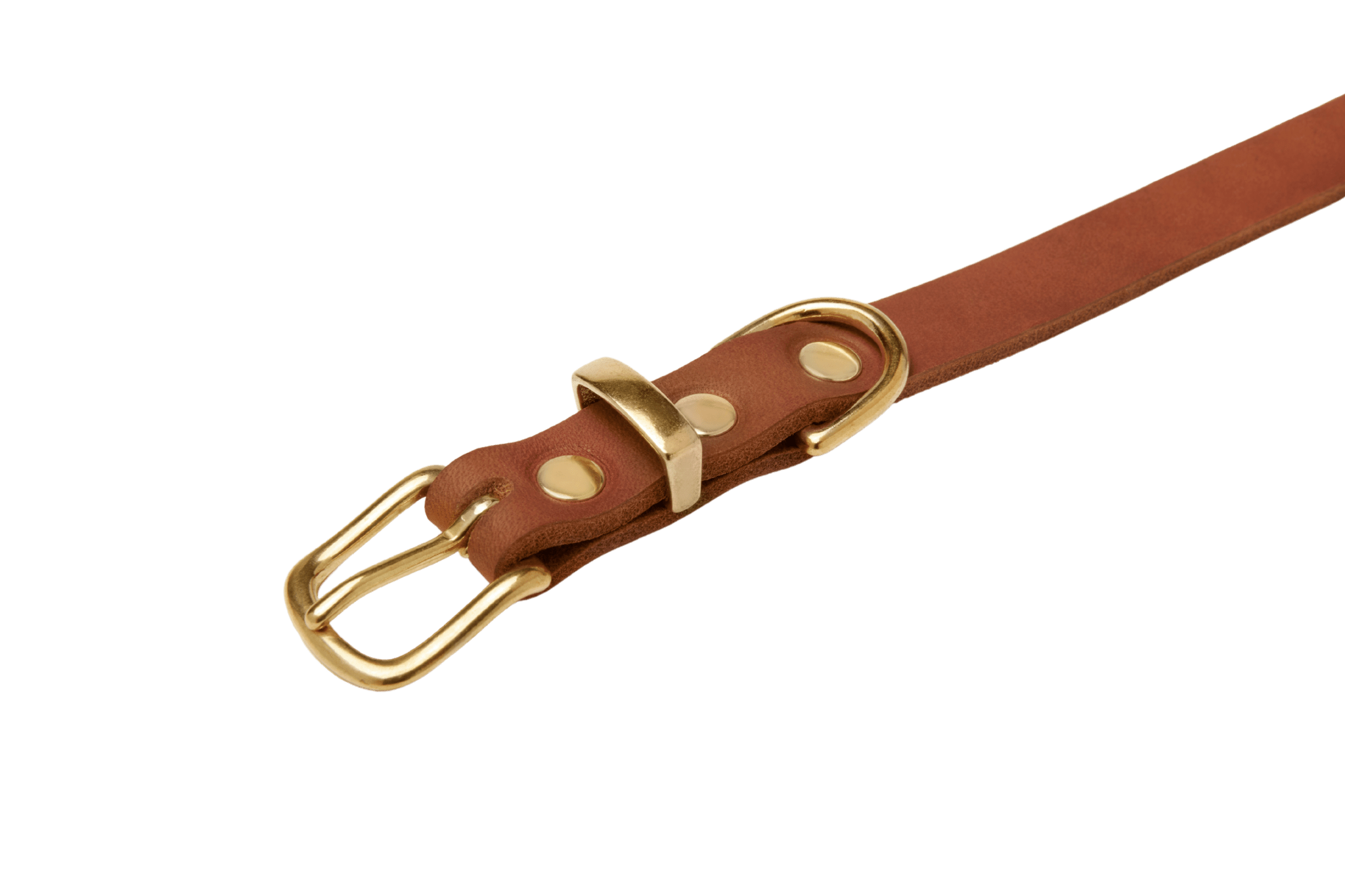 Butter Leather Dog Collar - Sahara Cognac - Eva Pet - Molly And Stitch