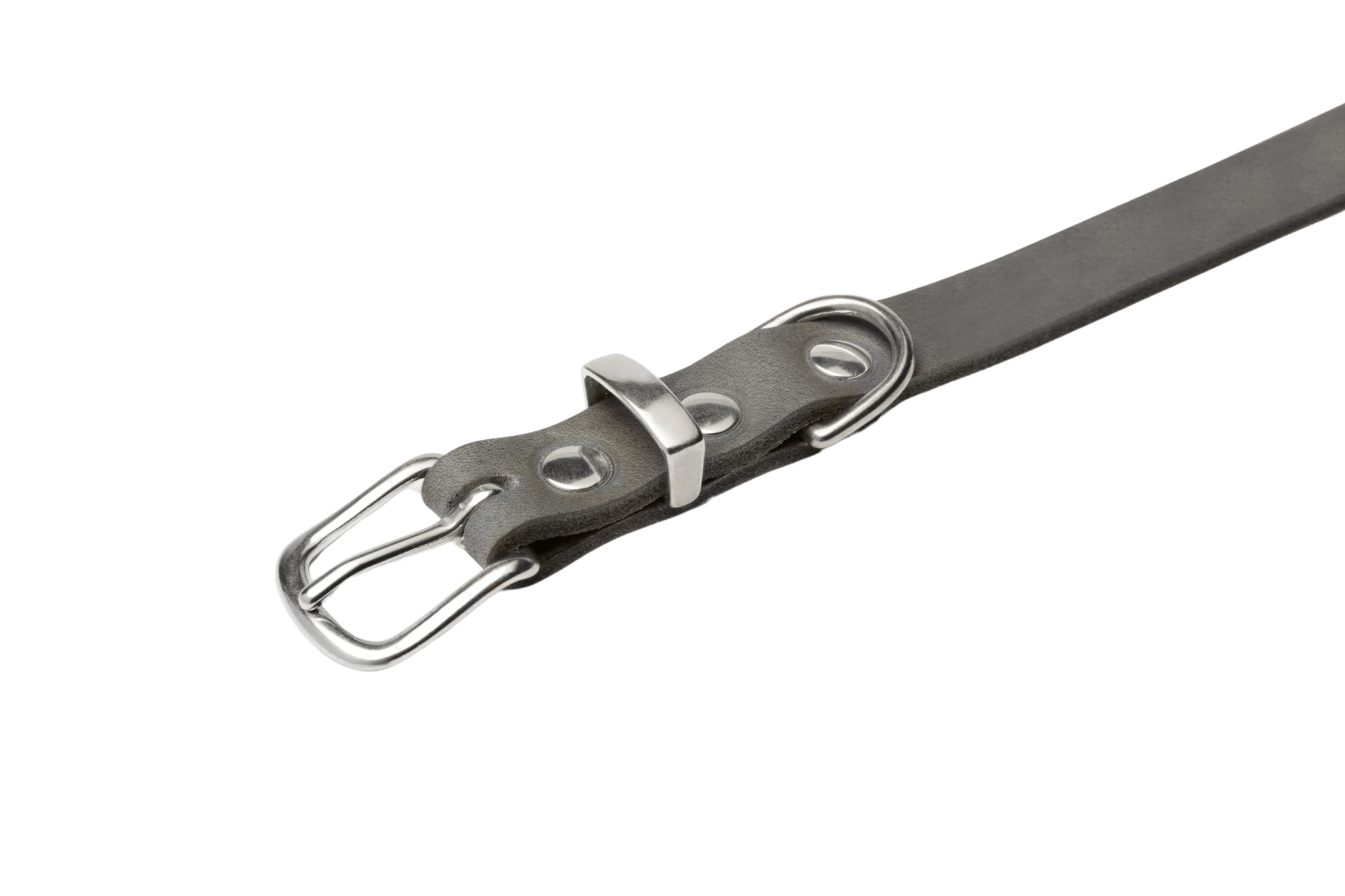 Butter Leather Dog Collar - Timeless Grey - Eva Pet - mollyandstitchus