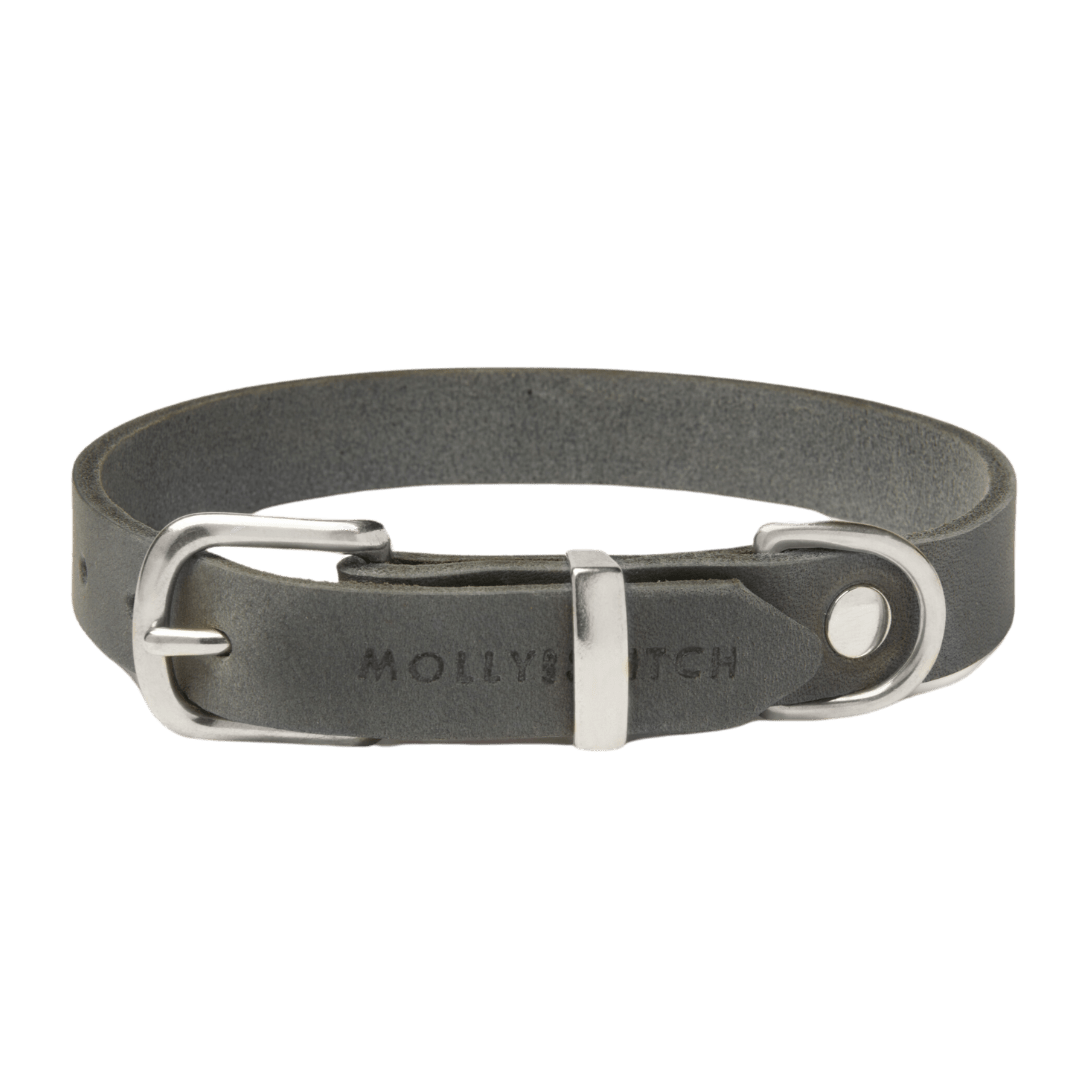 Butter Leather Dog Collar - Timeless Grey - Eva Pet - mollyandstitchus