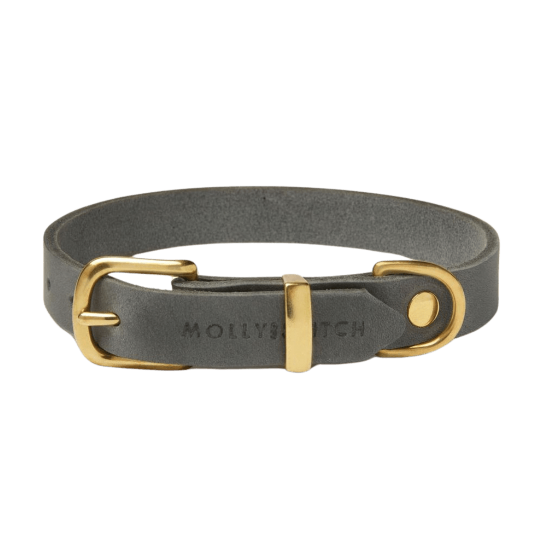 Butter Leather Dog Collar - Timeless Grey - Eva Pet - mollyandstitchus